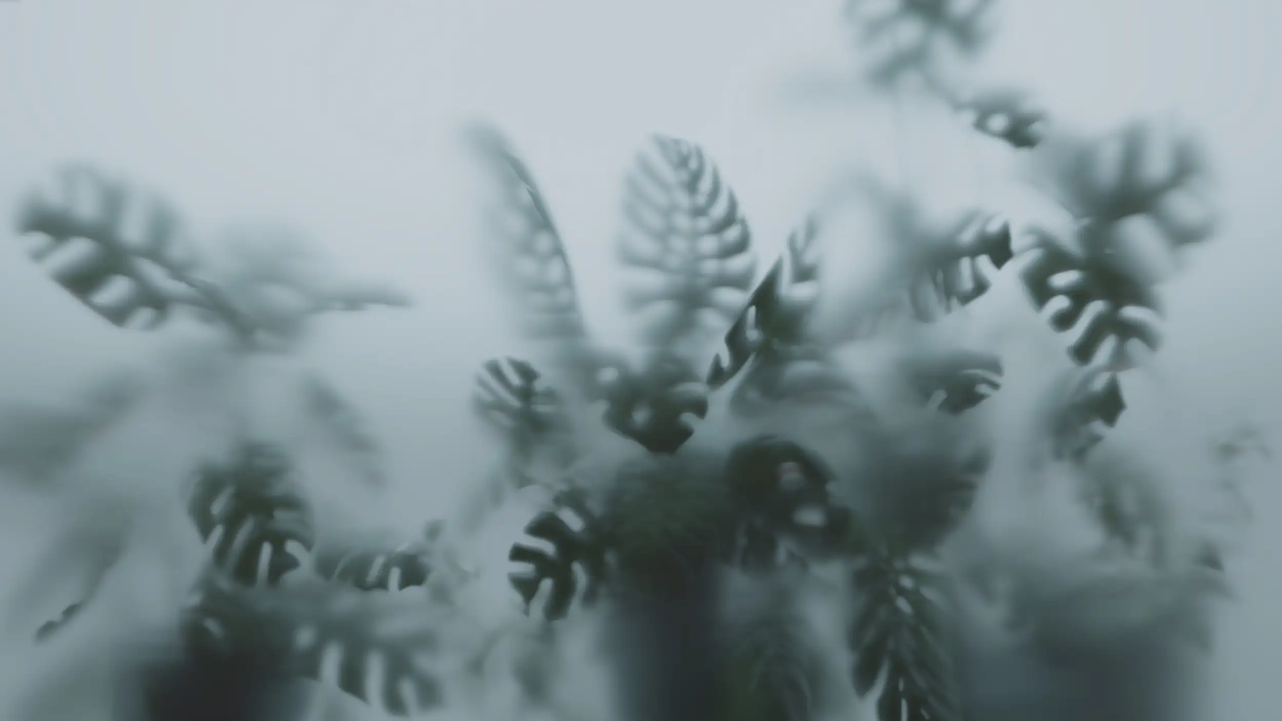 A soft-focus, muted blue-green photo of fern-like leaves against a hazy pale sky, with some fronds sharply detailed and others blurred into the misty background.